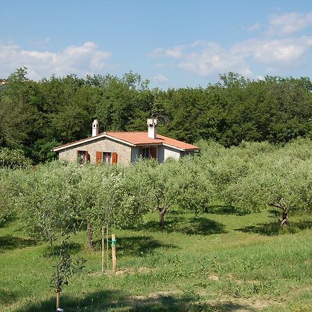 Olivahouse Villa Marezige Exterior foto